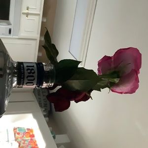 Meet your Posher, Victoria lynn